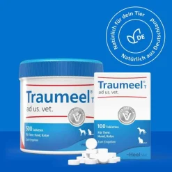 Traumeel T ad us. vet. Tabletten für Hund und Katze, 250 St