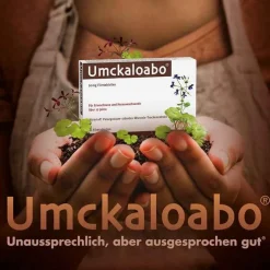 Umckaloabo® 20 mg Filmtabletten, 60 St