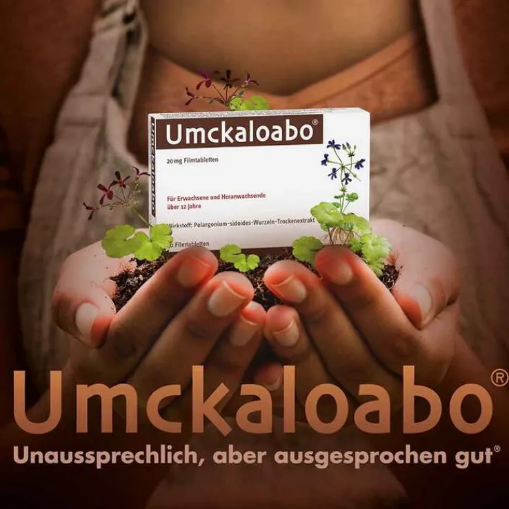 Umckaloabo® 20 mg Filmtabletten, 60 St